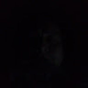 Meet your Posher, Max gabriel